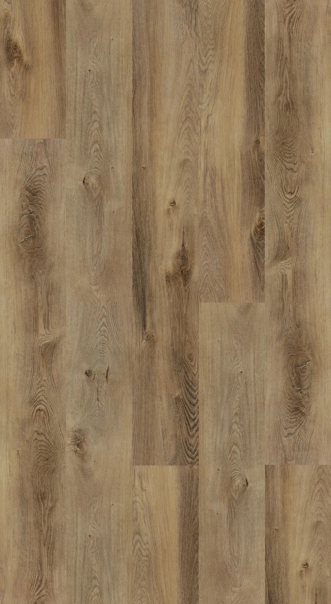 High-Quality Hydrogen 7 Daliwood Vinyl Plank Flooring (BYKHYDRO7DA - Biyork) Flooring - Toronto & Oakville Store