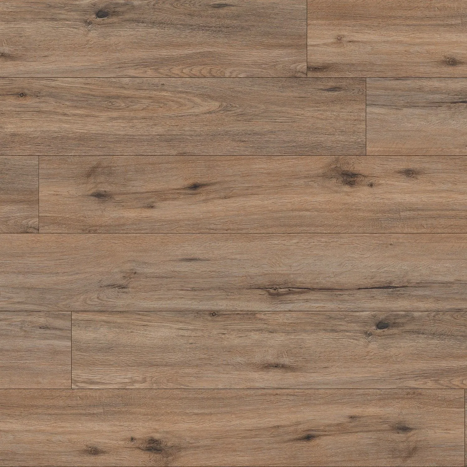 XL Cyrus Fauna Vinyl Plank Flooring (VTRXLFAUN9X60-5MM-12MIL - MSI Surfaces )