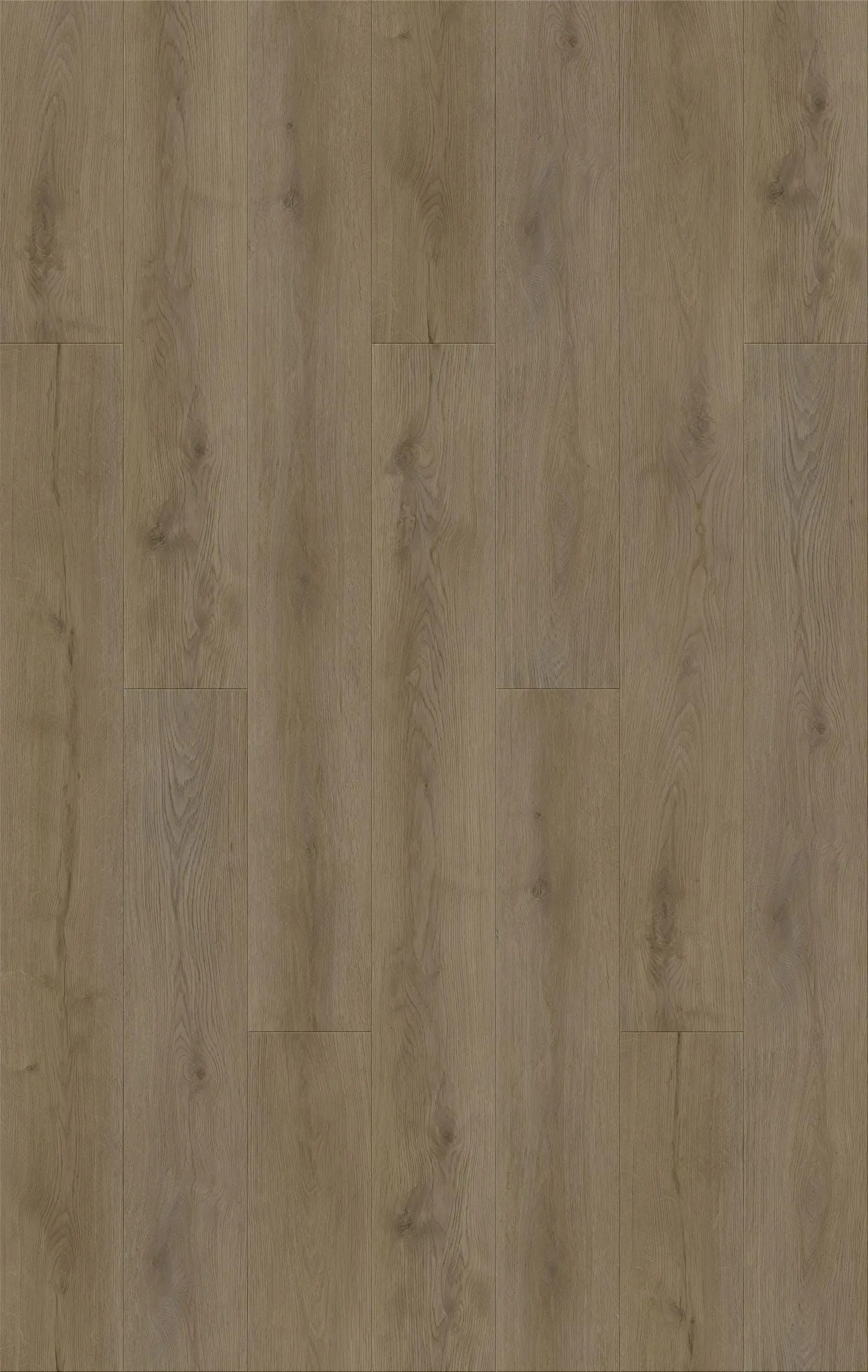 High-Quality Taiga Aquila Fearless Vinyl Plank Flooring (FVAQPLANKFLS - Taiga) Flooring - Toronto & Oakville Store