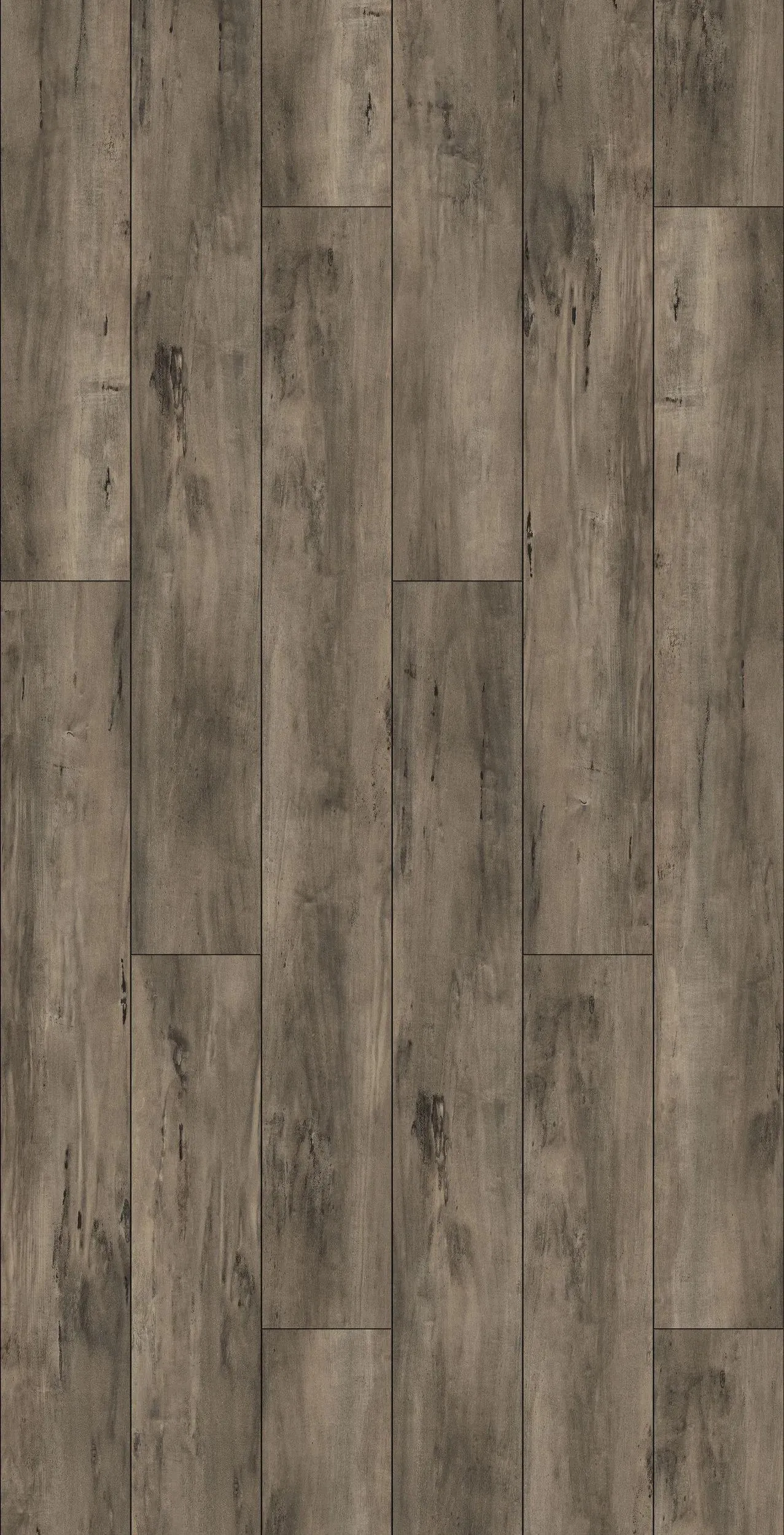 Taiga Voila Plus Abra Vinyl Plank Flooring (FVCVPPLANKABR - Taiga) Flooring - Available in Toronto, Mississauga & Oakville