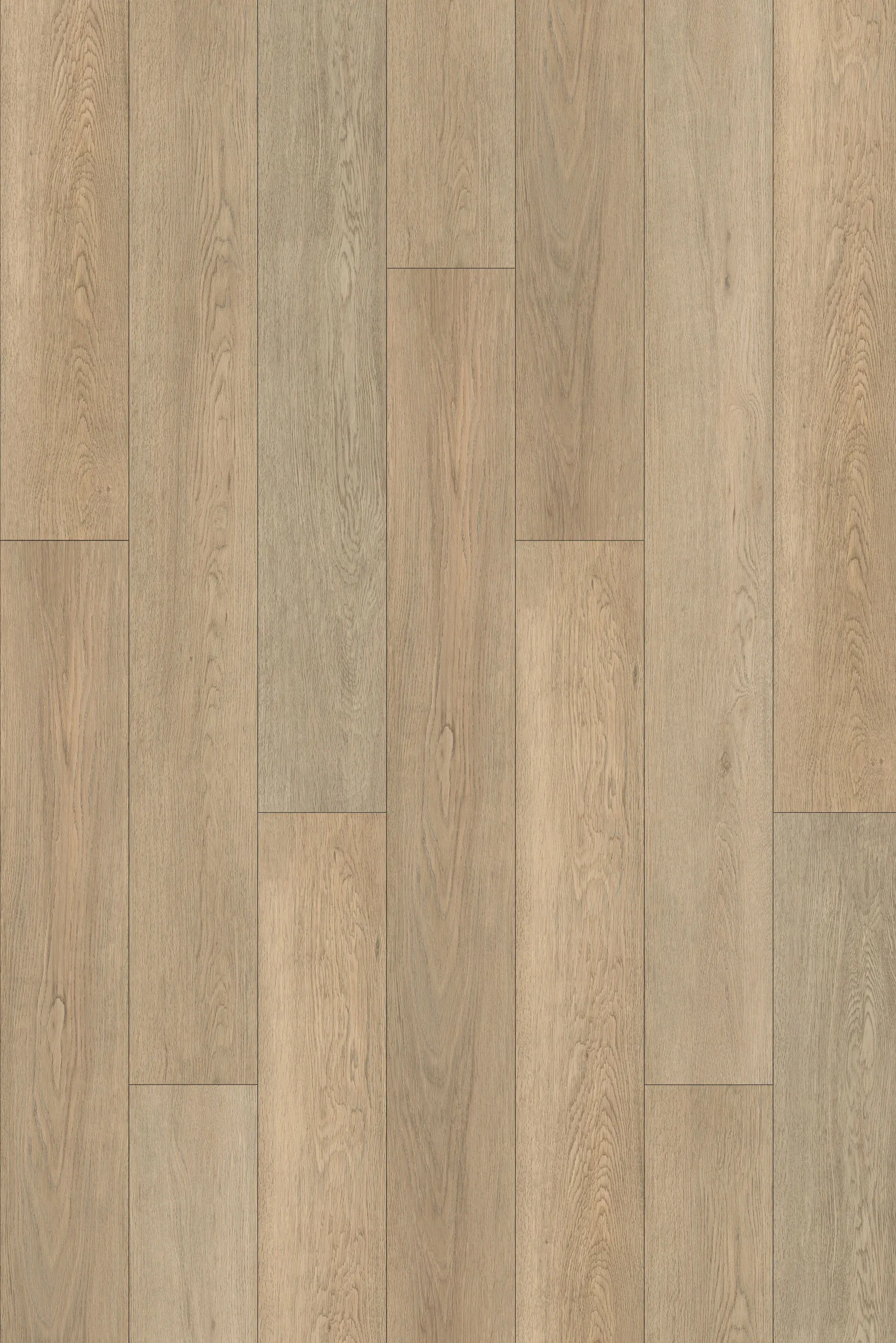 Taiga Voila Plus Presto Vinyl Plank Flooring (FVCVPPLANKPRO - Taiga )