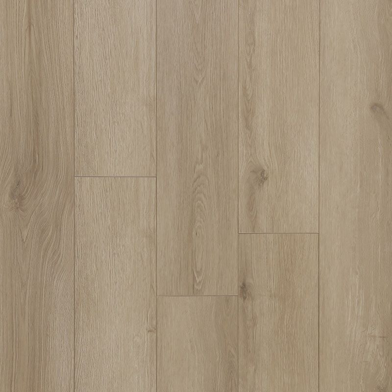 laminate Concerto Edge Opus 54390020 Gray Laminate Flooring | Floors & Baths Pro's