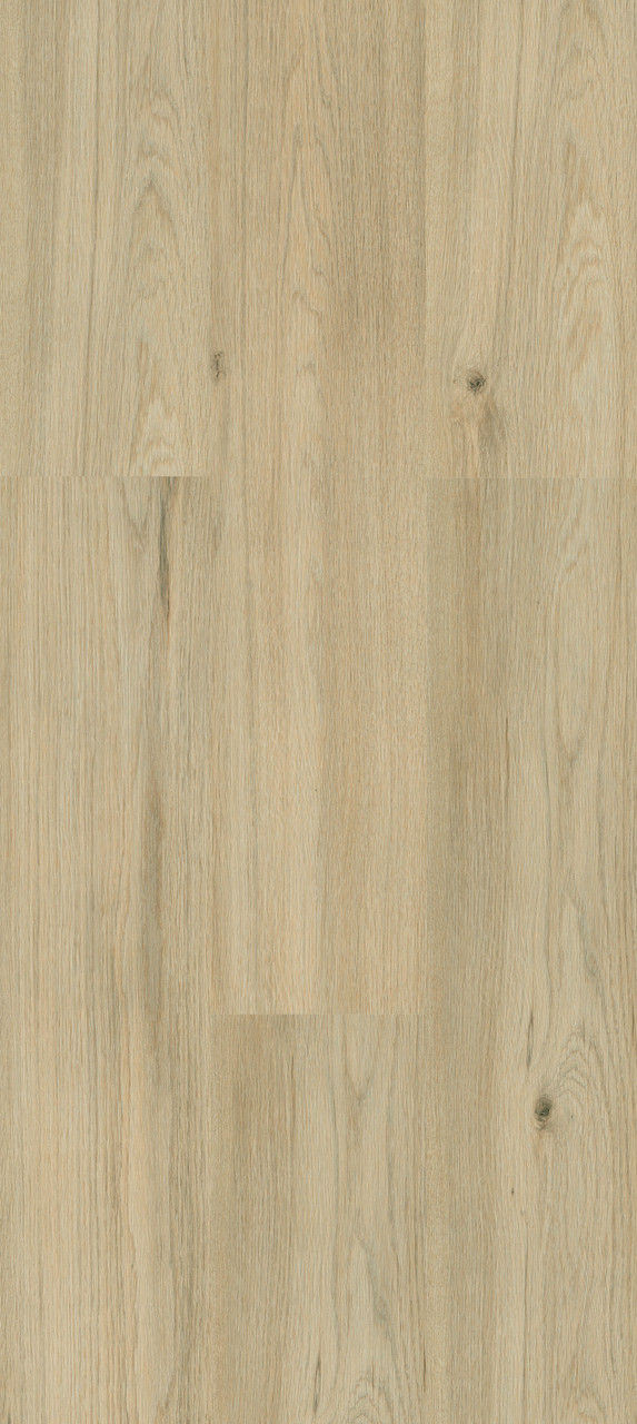 Privilege Artfloor Samyeli 54510110 Beige Laminate Flooring | Floors & Baths Pro's