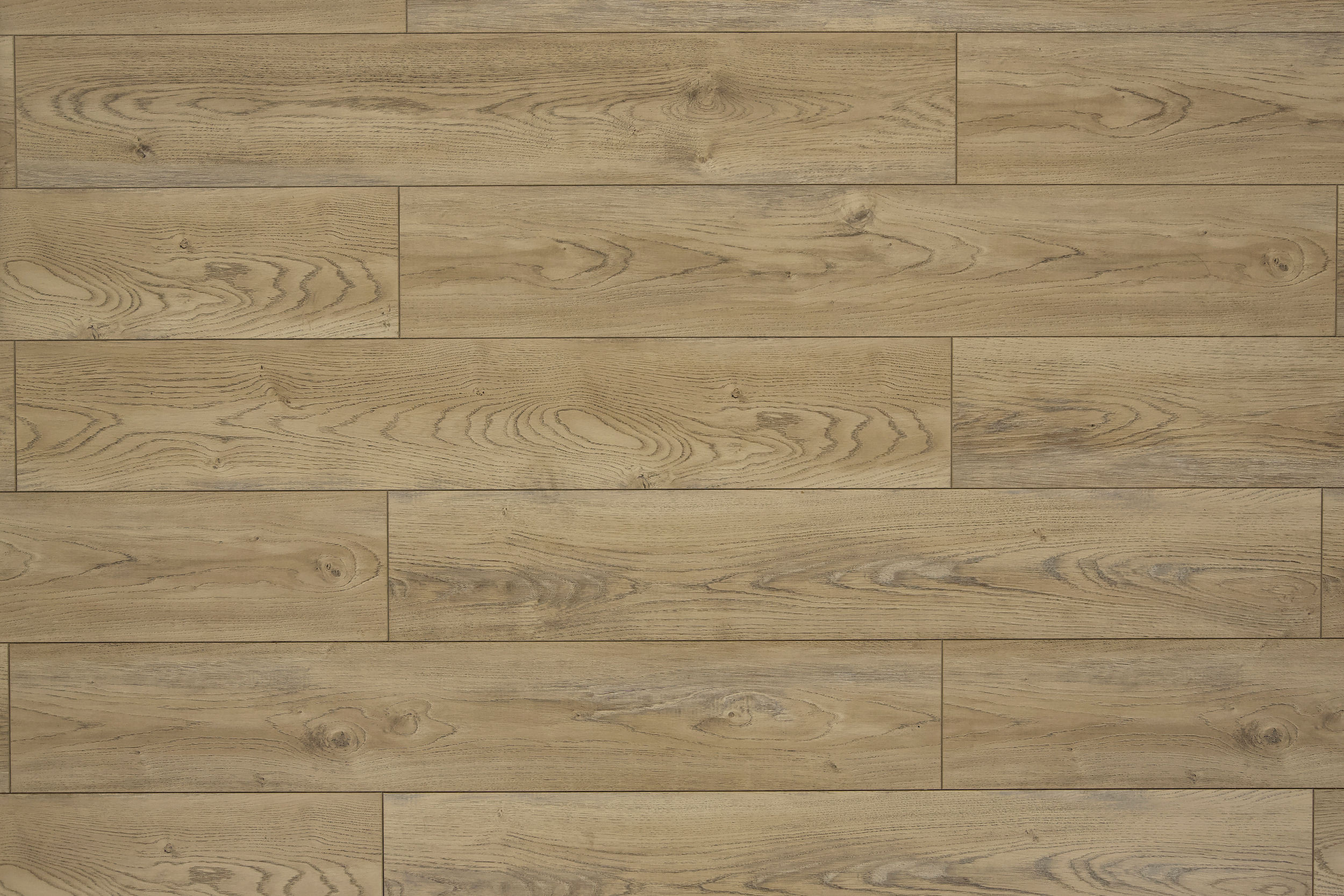 Toucan TF62 Series 6206 TF6206-F 6206 Laminate Flooring | Floors & Baths Pro's