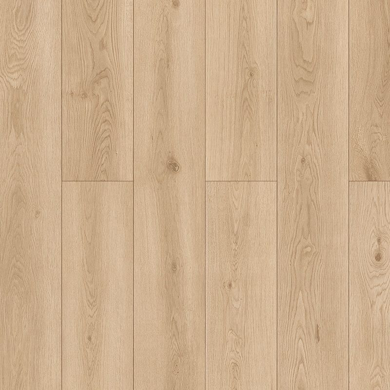 laminate Concerto Edge Moderato 54390070 Beige Laminate Flooring | Floors & Baths Pro's