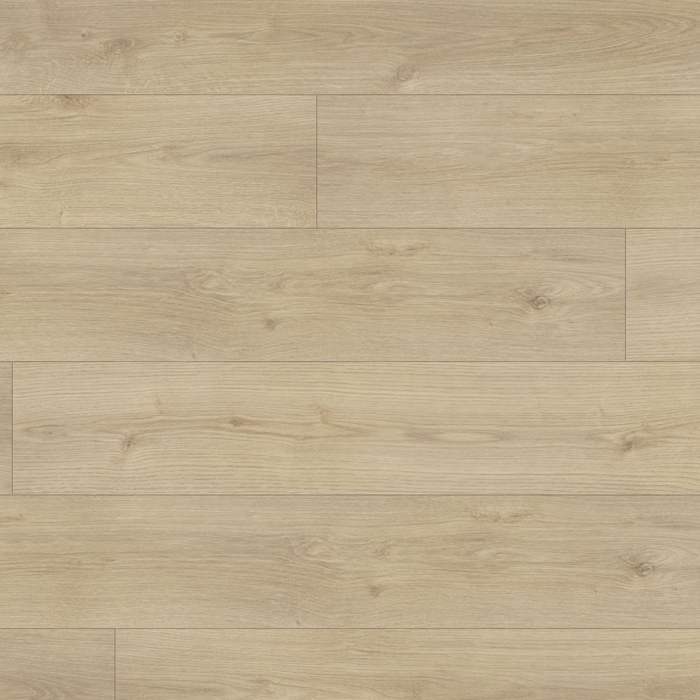 Beaulieu Conquest Xtra Barbarossa 1734 1734 Laminate Flooring | Floors & Baths Pro's