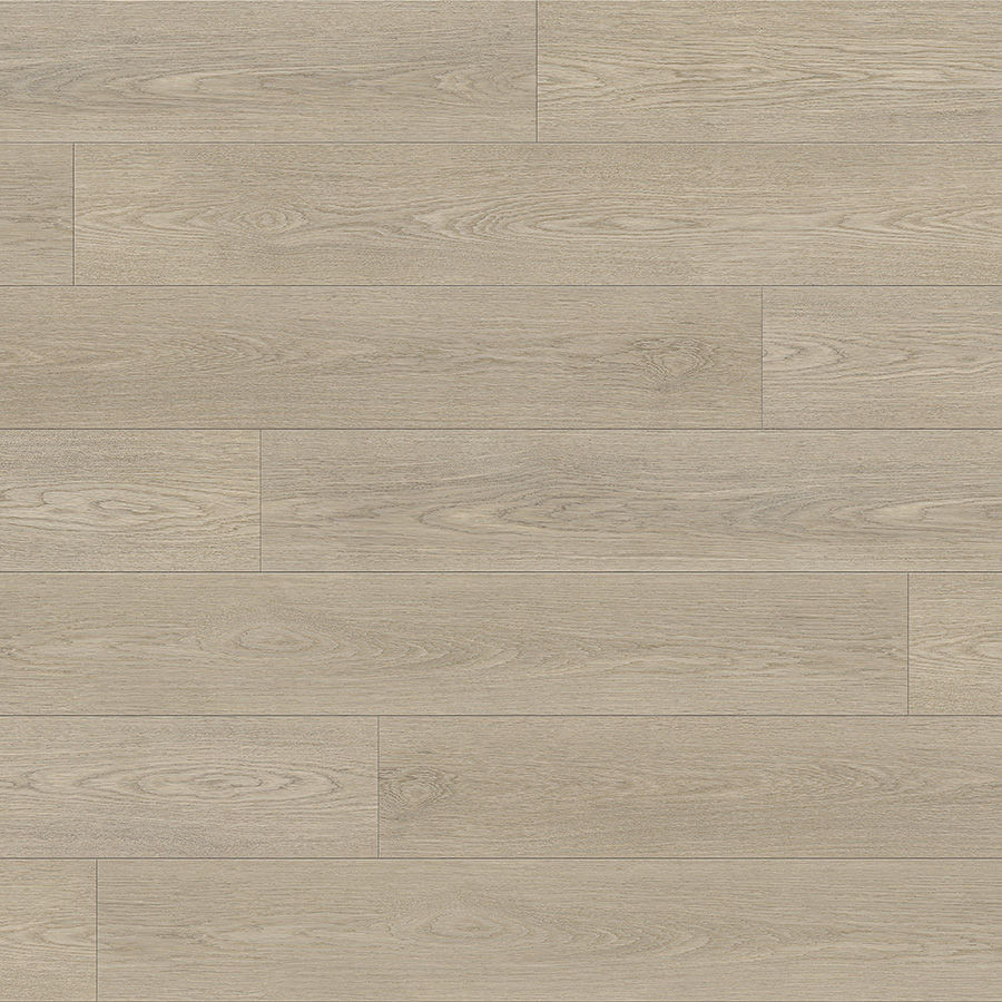 Power Dekor Basik4 Focal Oak 8195 Beige Laminate Flooring | Floors & Baths Pro's