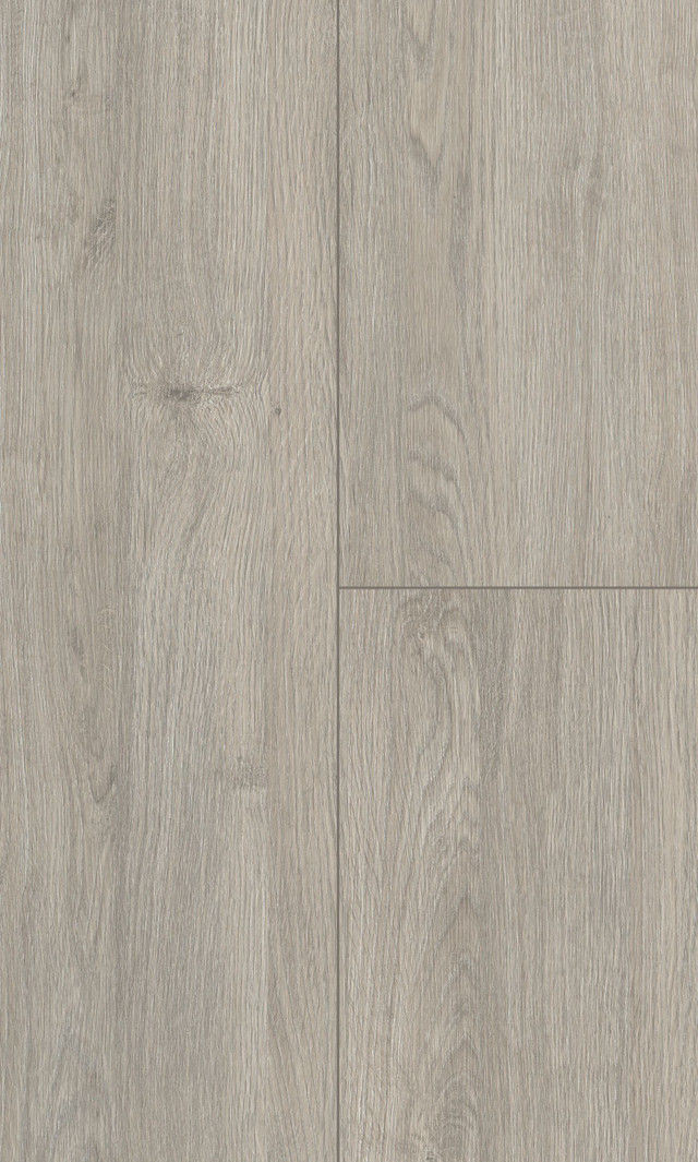 laminate Privilege Artfloor Divine 54510130 Gray Laminate Flooring | Floors & Baths Pro's