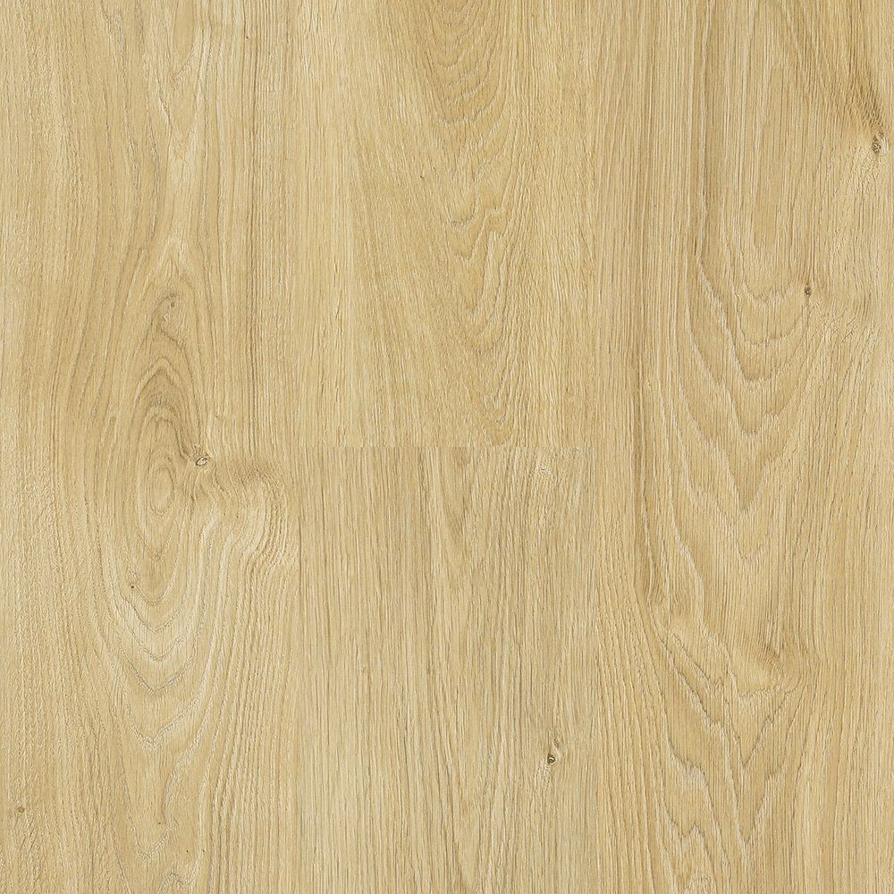 Next Floor Catamaran Organic Oak 310004 Beige Laminate Flooring | Floors & Baths Pro's