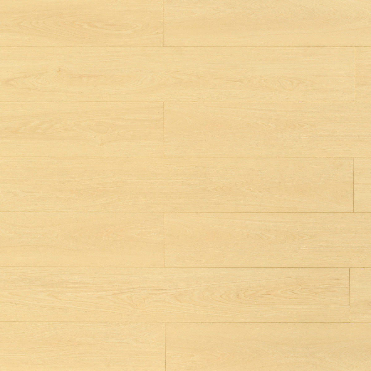 laminate Toucan TF81 Series 8104 Dune TF8104 Warm Laminate Flooring | Floors & Baths Pro's