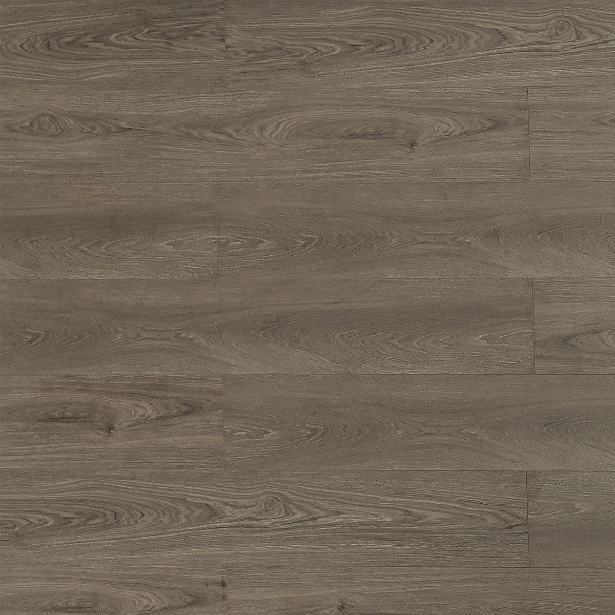 laminate Toucan TF81 Series 8102 Nubian TF8102 Warm Laminate Flooring | Floors & Baths Pro's