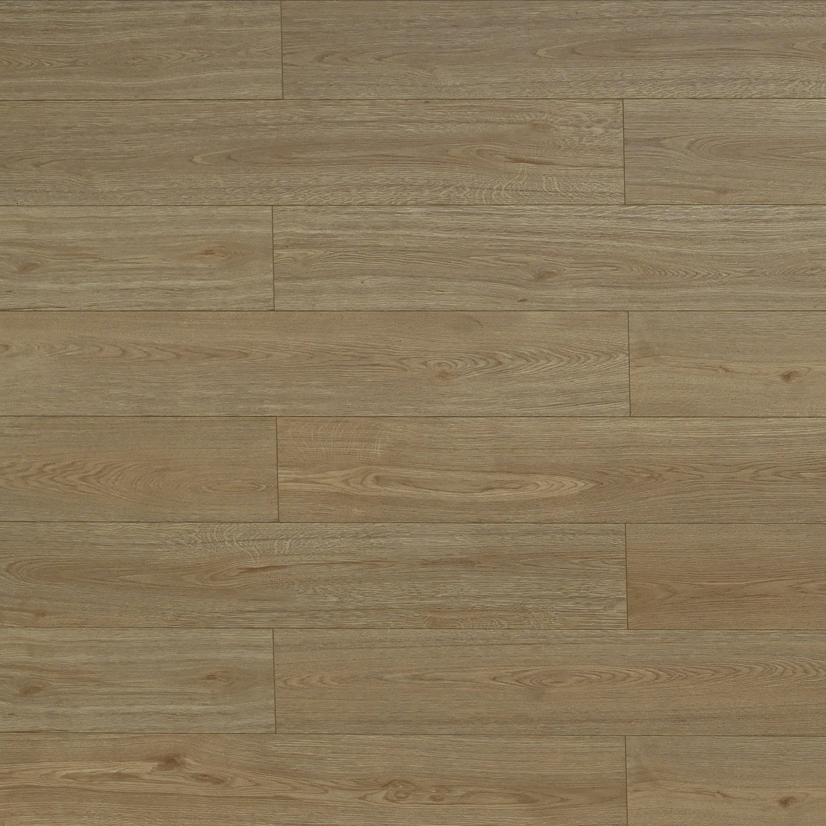 laminate Toucan TF66 Series 6610 Gila TF6610-F Warm Laminate Flooring | Floors & Baths Pro's