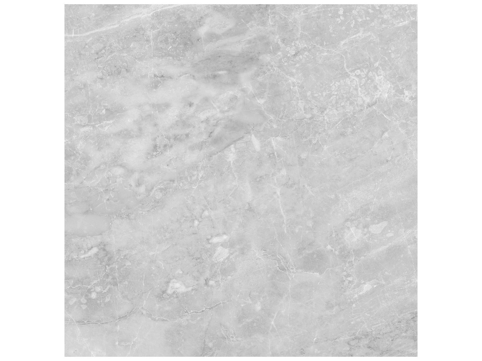 floor tiles Plata Perla Grigia Matte 24" x 24" (4500-0964-0 ) Marble Look Floor Tiles | Floors & Baths Pro's