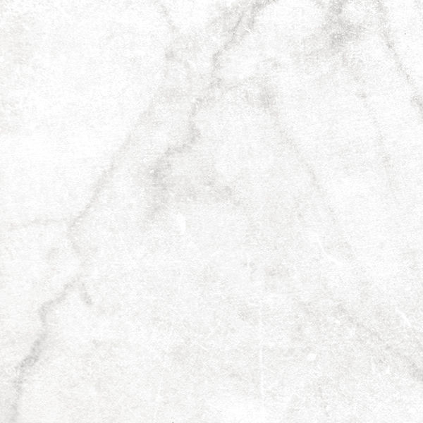 floor tiles Antica Carrara White Natural 24" x 24" (AN0160N ) Marble Look Floor Tiles | Floors & Baths Pro's