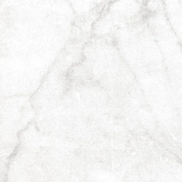 Antica Carrara White Natural 24" x 24" (AN0160N ) Marble Look Floor Tiles