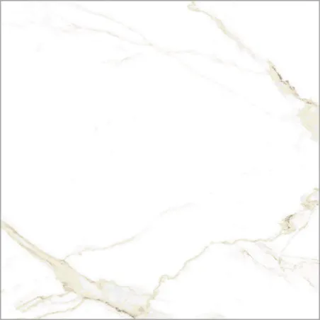 Naos Gold Brillo Polished 24" x 24" (NAOSGLD ) Marble Look Floor Tiles