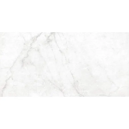 Antica Carrara White Matte 12" x 24" (AN0136 ) Marble Look Floor Tiles