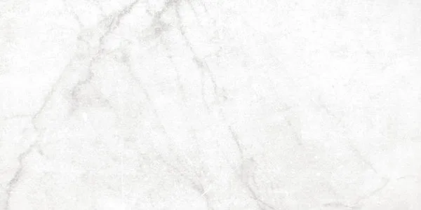 Antica Carrara White Matte 12" x 24" (AN0136 ) Marble Look Floor Tiles