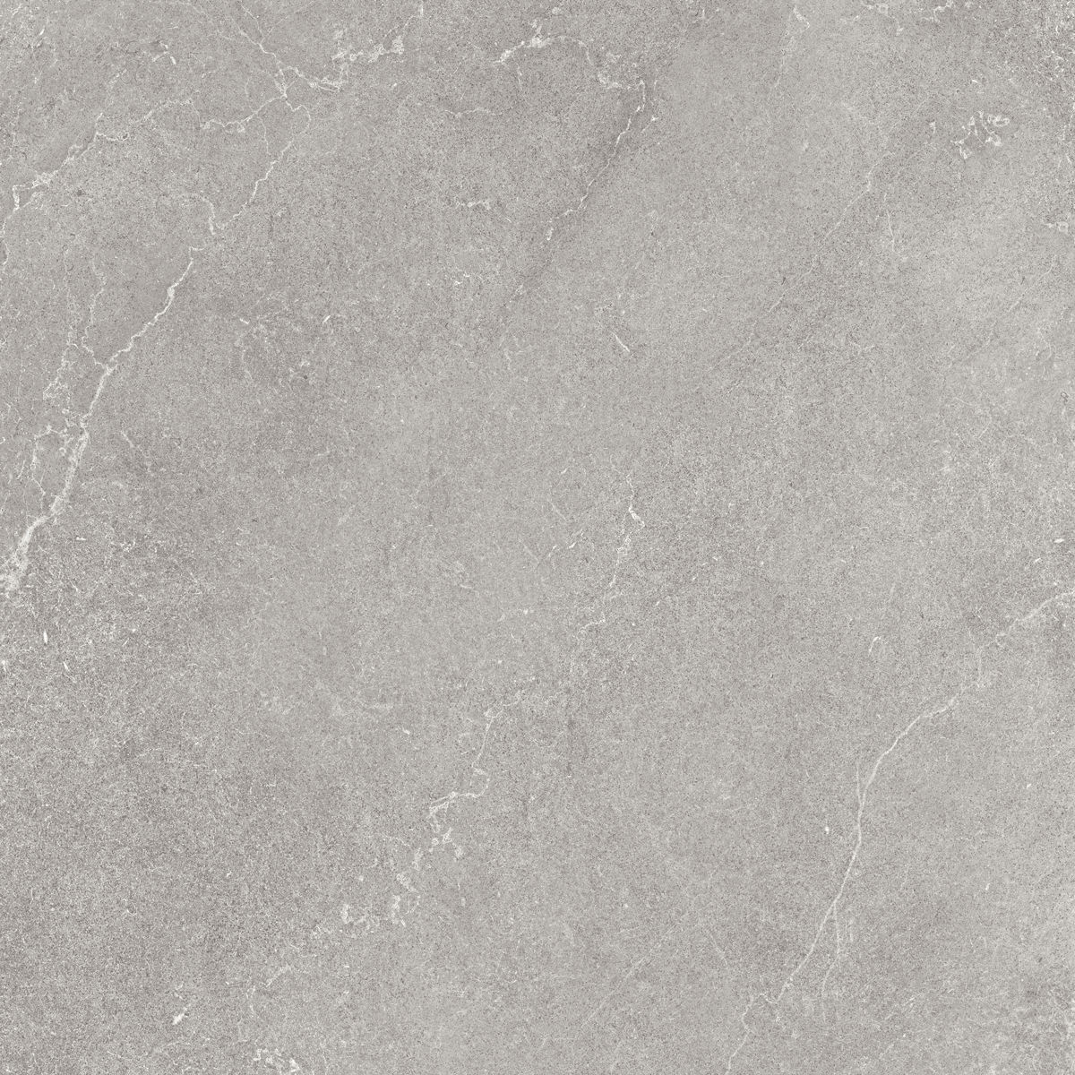 floor tiles Lithos Stone Natural 24" x 24" (15.34 sqft/box) (LIST24 ) Stone Look Floor Tiles | Floors & Baths Pro's