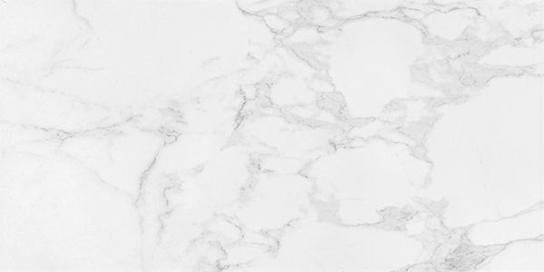 Sempre Carrara Matte 12" x 24" (SECA1224 ) Marble Look Floor Tiles | Floors & Baths Pro's