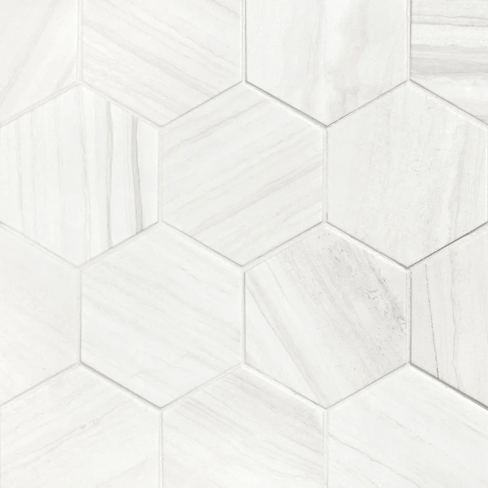 Lithos Hexagon White Matte 4-1/2" x 4"