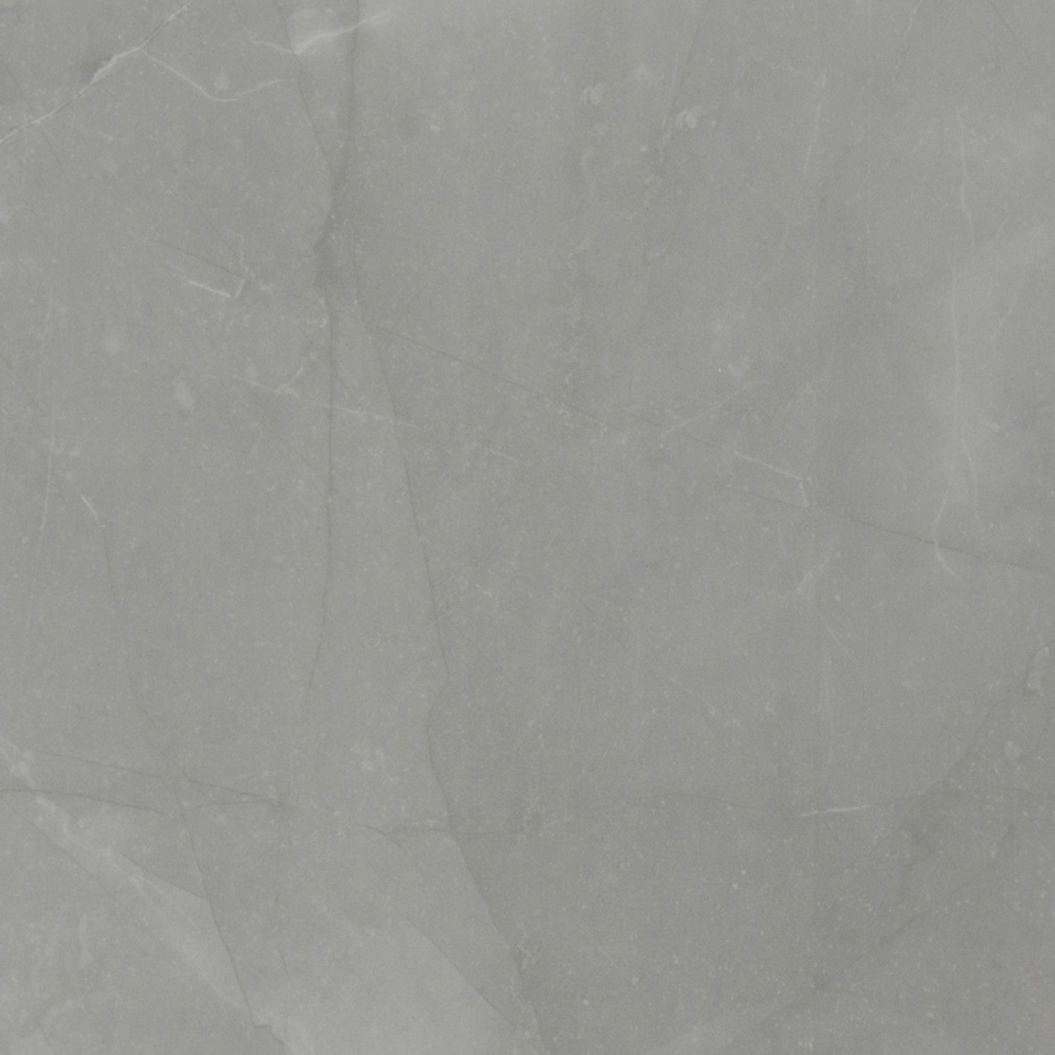 floor tiles Sande Gray-Dark Matte 24" x 24" (NSANGRE2424 ) Marble Look Floor Tiles | Floors & Baths Pro's