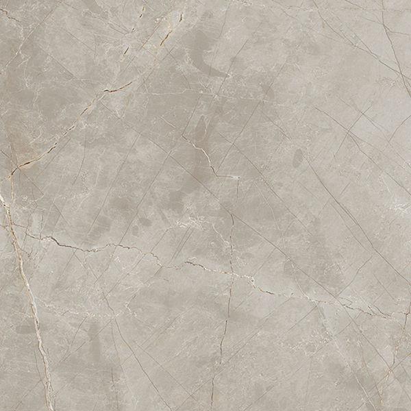 Jewels Raymi Natural 24" x 24" (JW1624 ) Marble Look Floor Tiles | Floors & Baths Pro's