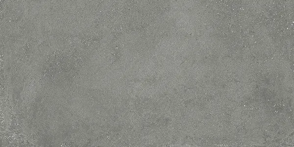 Integra Gray Matte 12" x 24" (INGRAY1224M ) Stone Look Floor Tiles