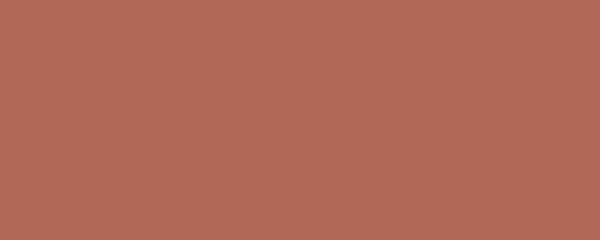 Design Positive Terracotta 9 Matte 8" x 20" (D2PTC09 ) Uniform Color Wall Tile | Floors & Baths Pro's