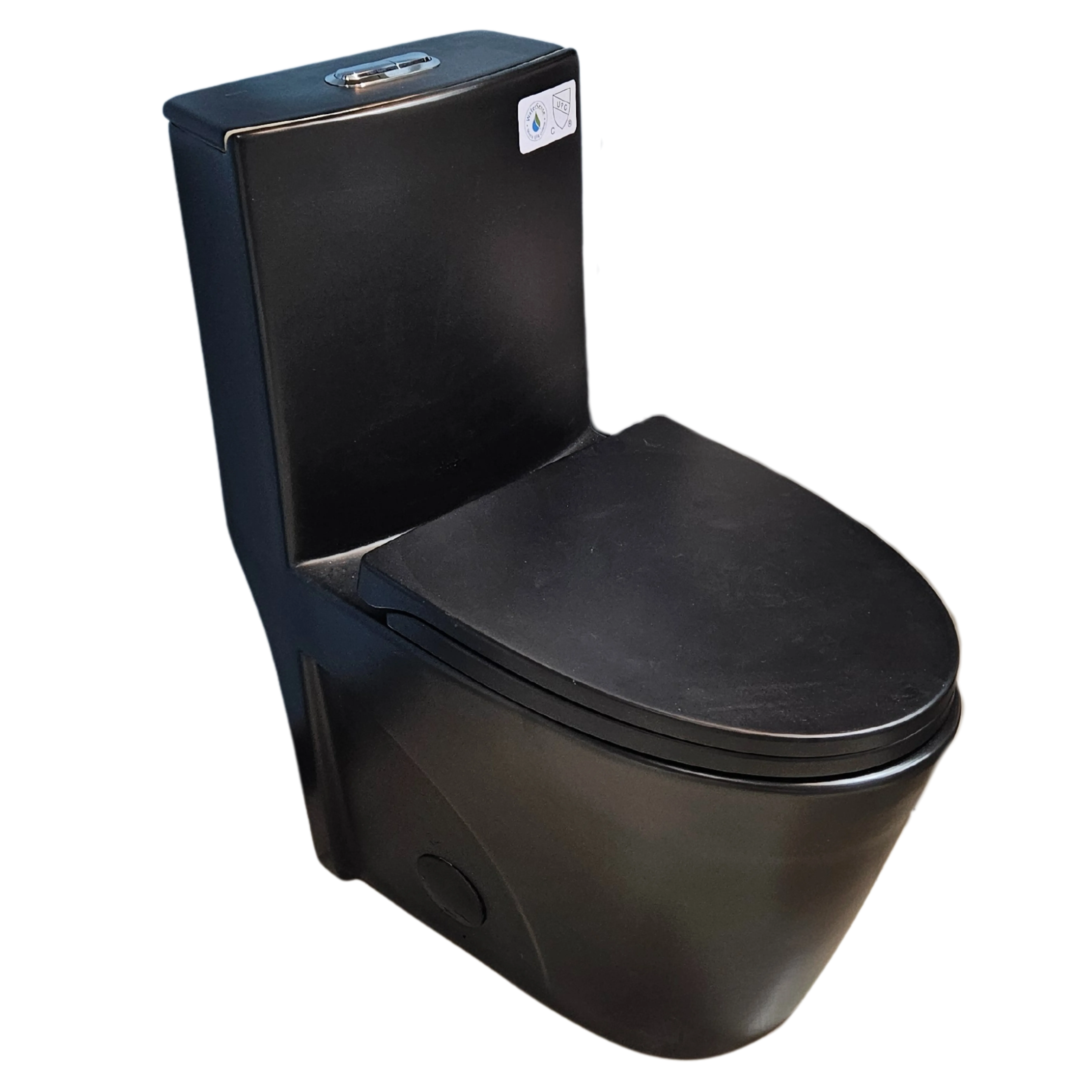 One-Piece Dual-Flush Toilet in Black