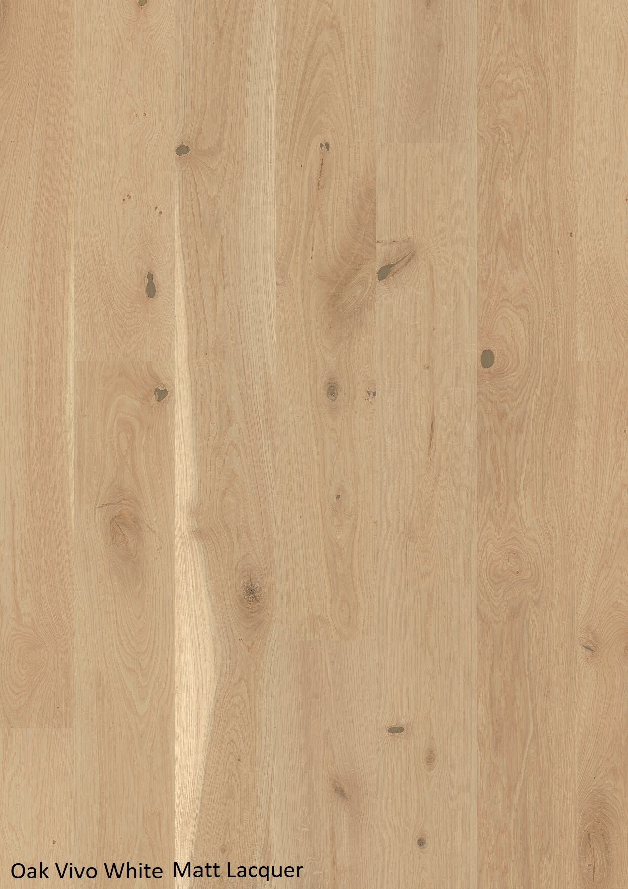 Oak Vivo White Smooth White Oak Engineered Hardwood Flooring | Floors & Baths Pro's