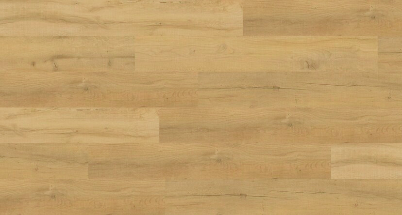 loose lay vinyl plank Duca 3mm NAF Aqua Commercial Dryback Commercial / Looselay | Floors & Baths Pro's