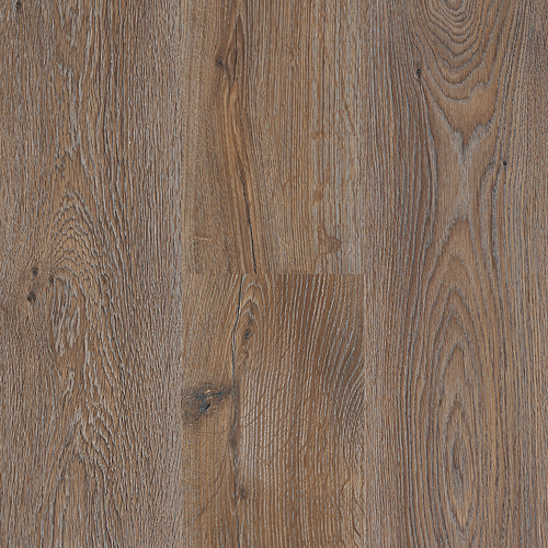 laminate Next Floor 8mm Catamaran - Barkwood (310 005) Laminate Flooring | Floors & Baths Pro's