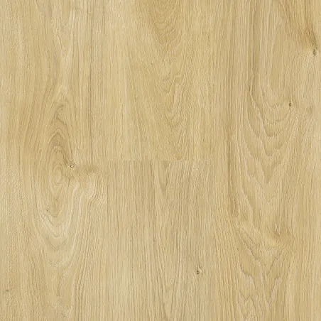 8mm Catamaran - Organic Oak (310 004) Laminate Flooring