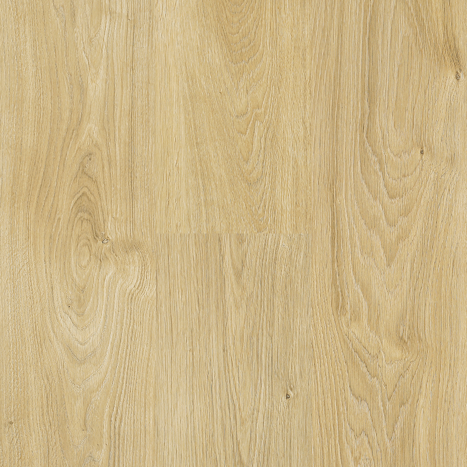 8mm Catamaran - Organic Oak (310 004) Laminate Flooring | Floors & Baths Pro's