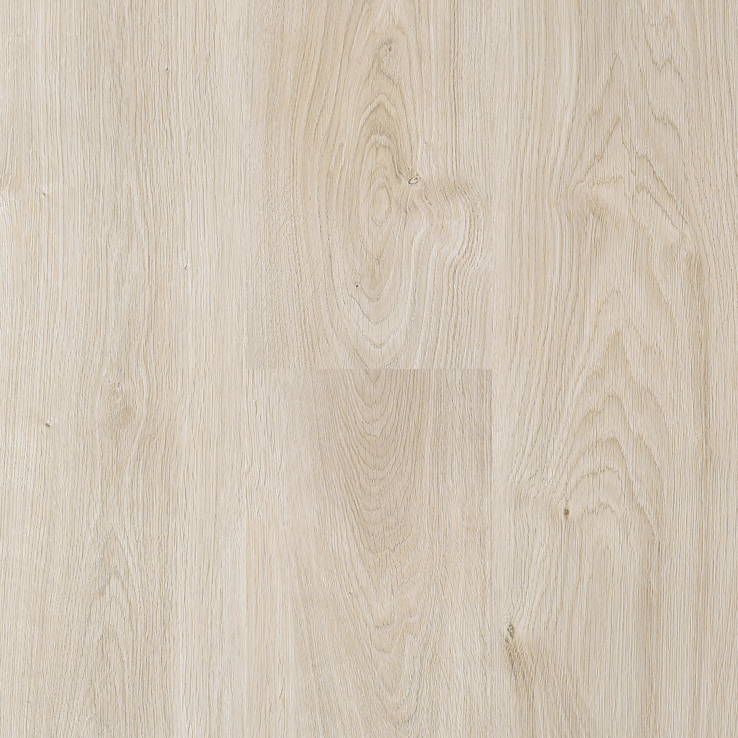 laminate Next Floor 8mm Catamaran - Platinum Blonde (310 006) Laminate Flooring | Floors & Baths Pro's