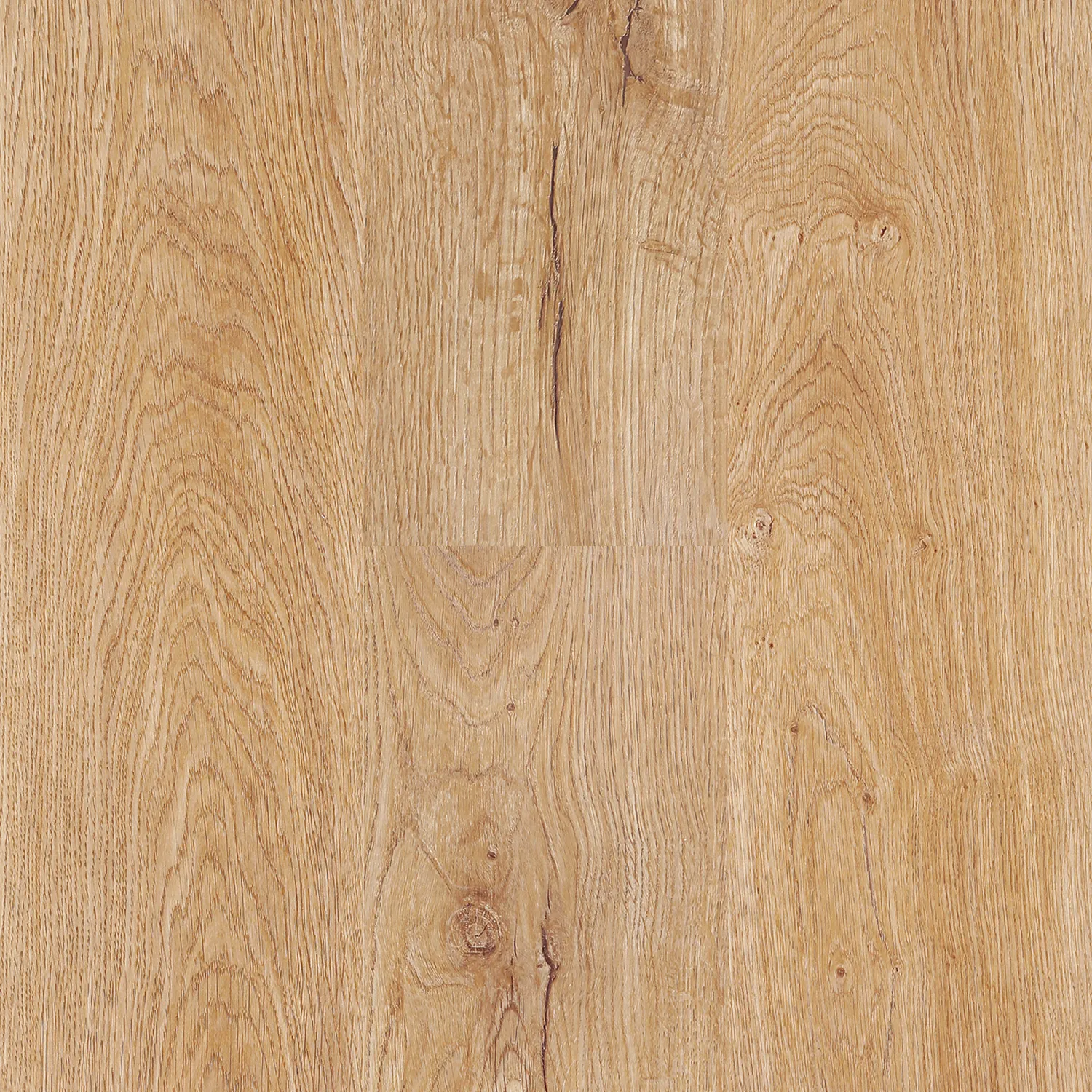 8mm Woodlane Catamaran - Spiced Oak (310 007) Laminate Flooring