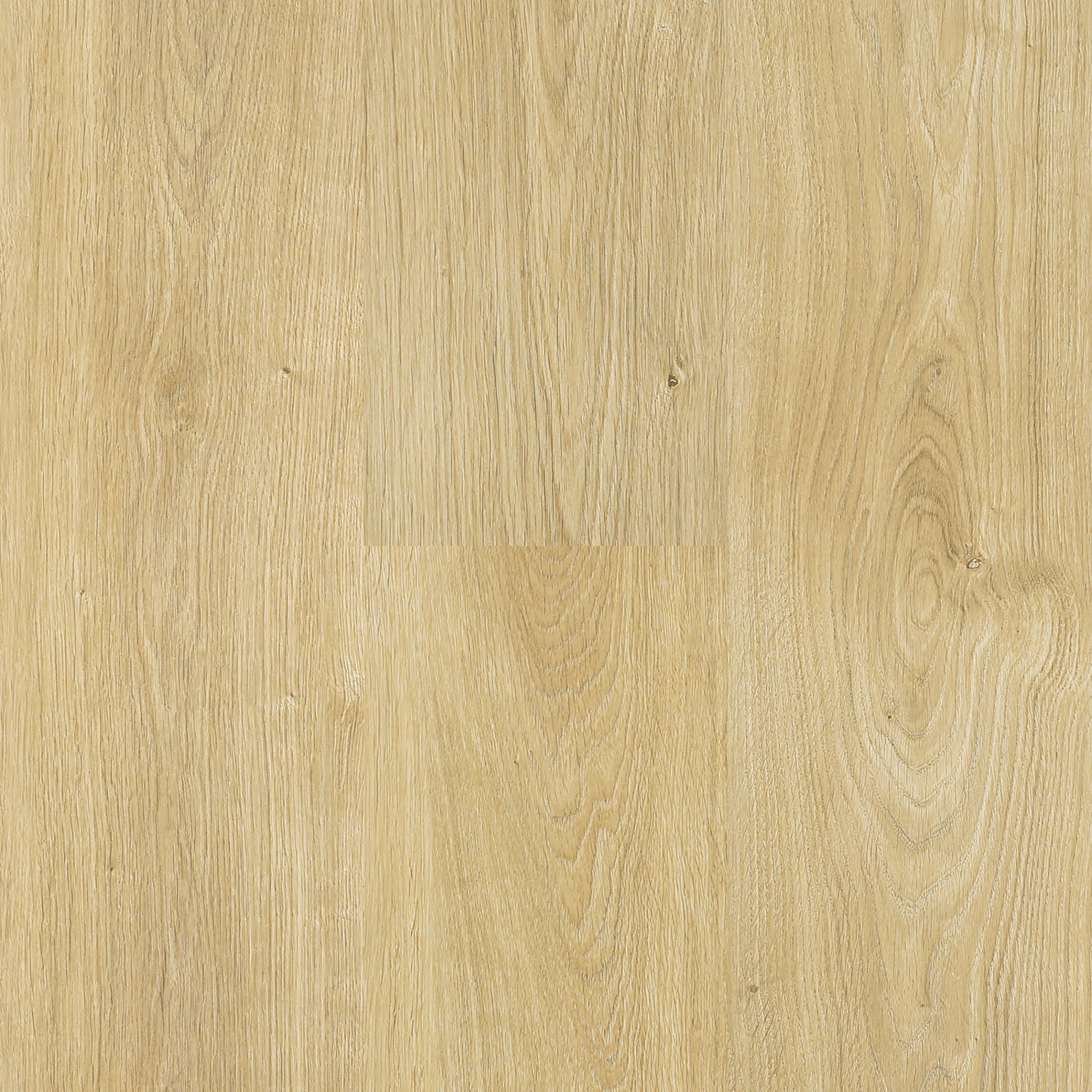 laminate Next Floor 10mm Regatta - Organic Oak (303 004) Laminate Flooring | Floors & Baths Pro's