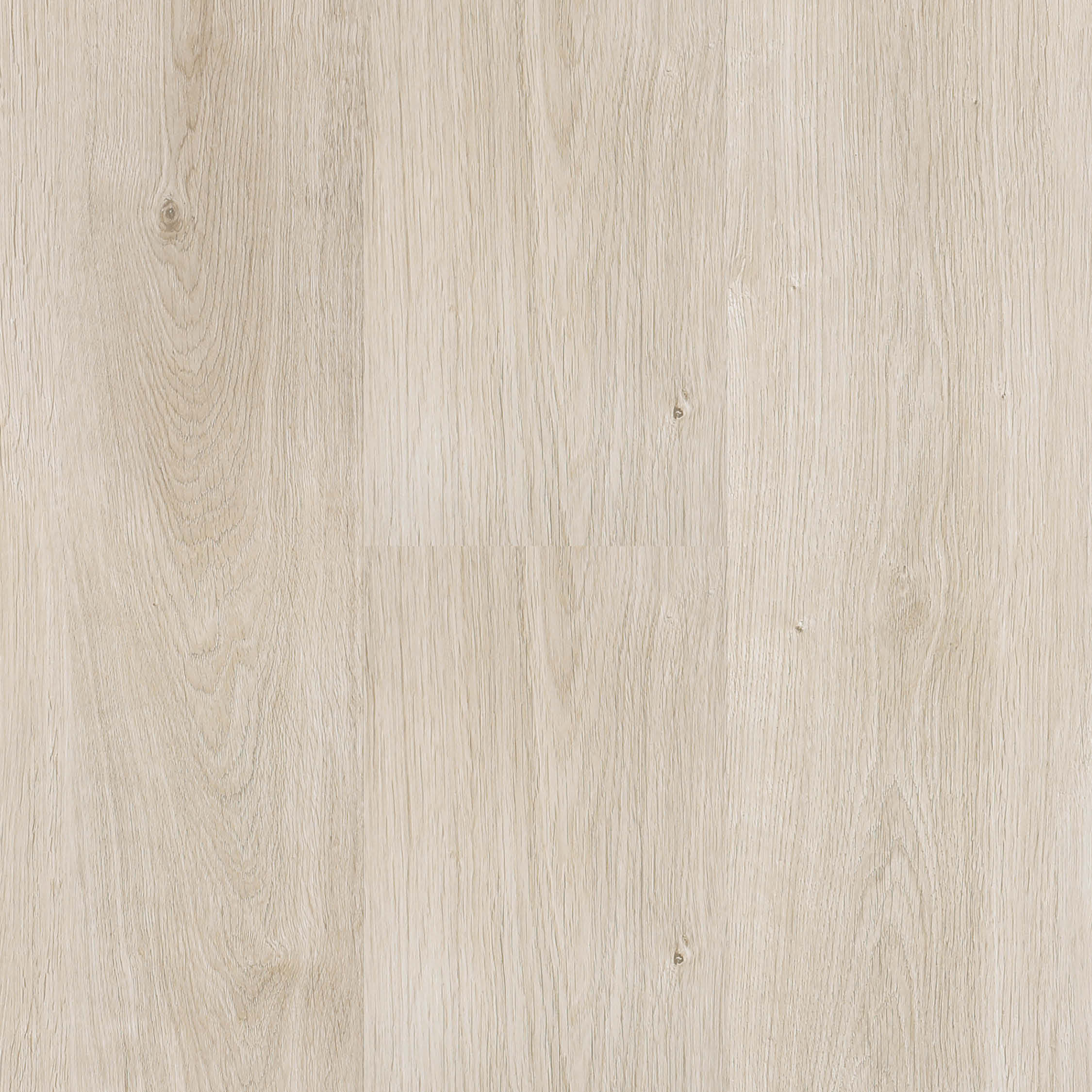 laminate Next Floor 10mm Regatta - Platinum Blonde (303 006) Laminate Flooring | Floors & Baths Pro's