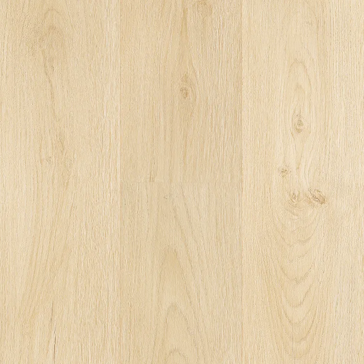 12mm Woodlane Water's Edge - Sand Dunes (301 002) Laminate Flooring