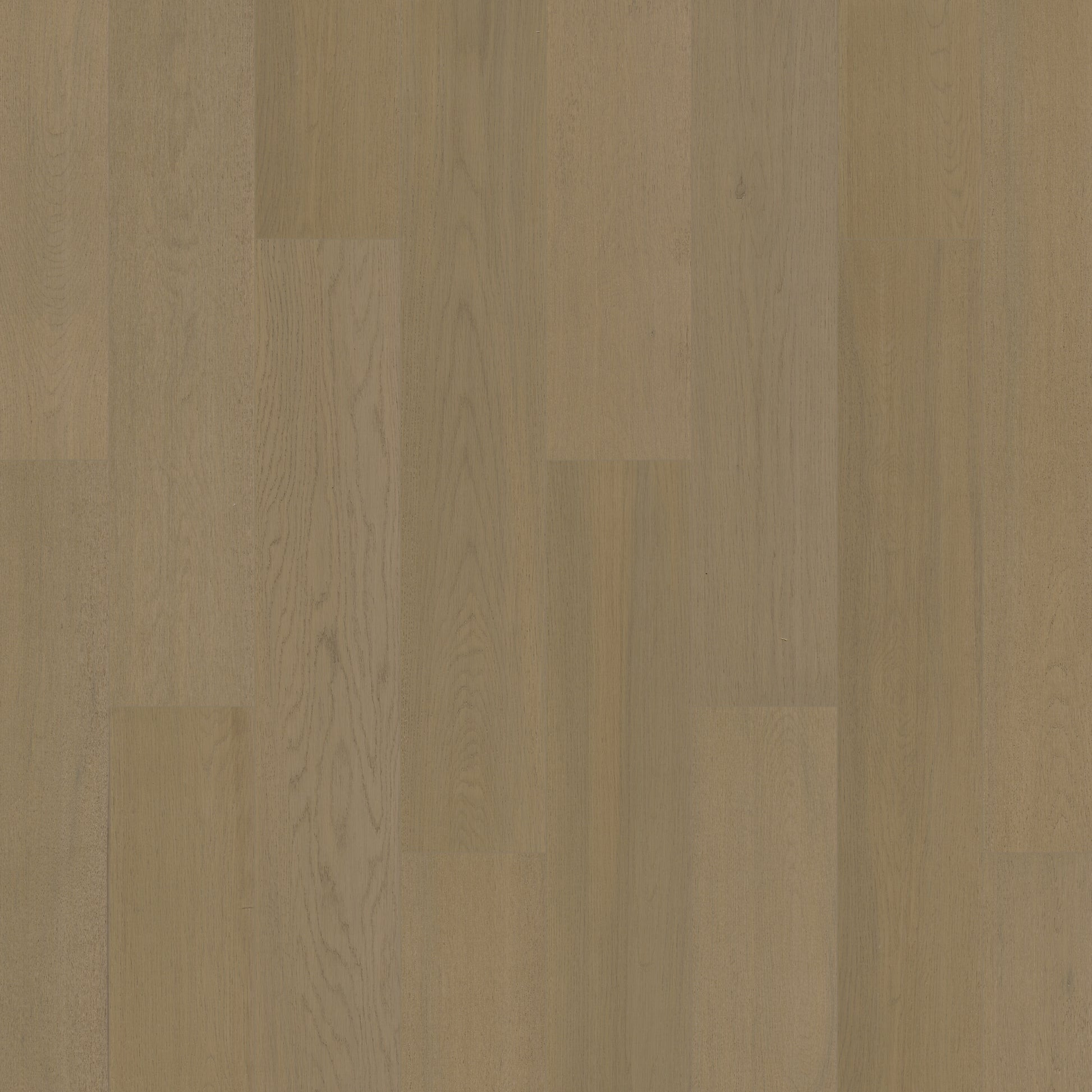 Naked Oak 6" Oakel City Engineered Hardwood | Floors & Baths Pro's