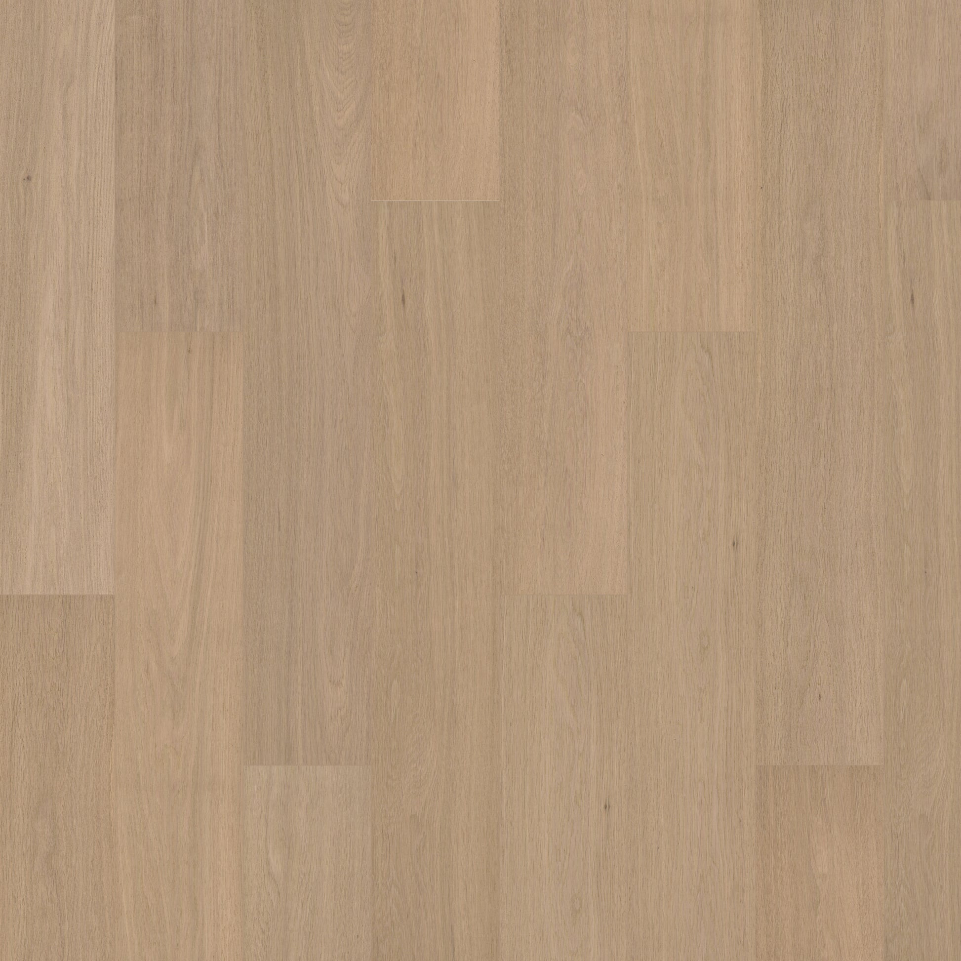 european oak hardwood flooring Harrison 6" Oakel City Engineered Hardwood | Floors & Baths Pro's