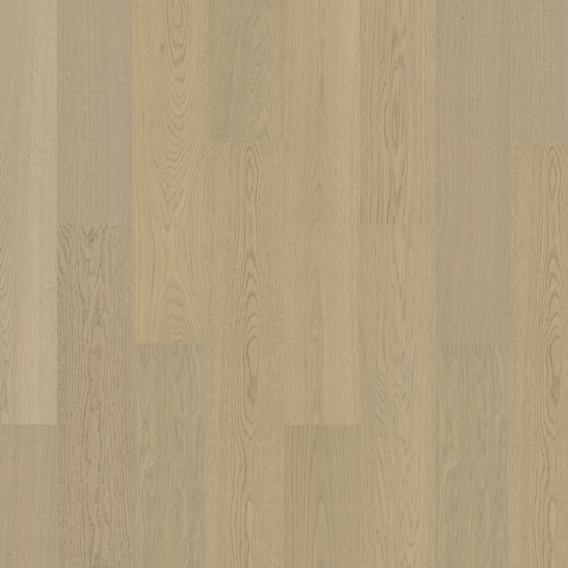 Daybreak Oakel City Engineered Hardwood | Floors & Baths Pro's