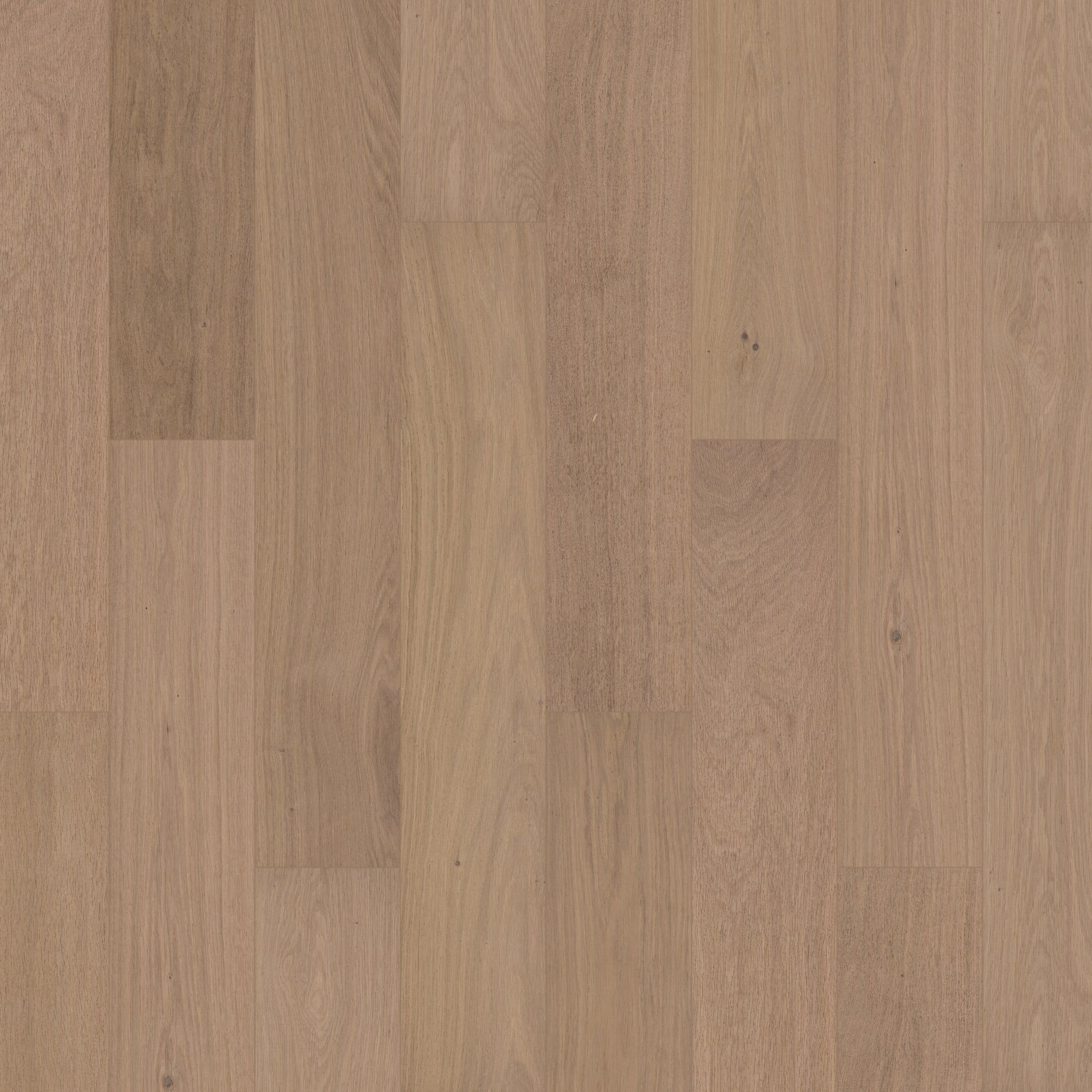 Invisible Oakel City Engineered Hardwood | Floors & Baths Pro's