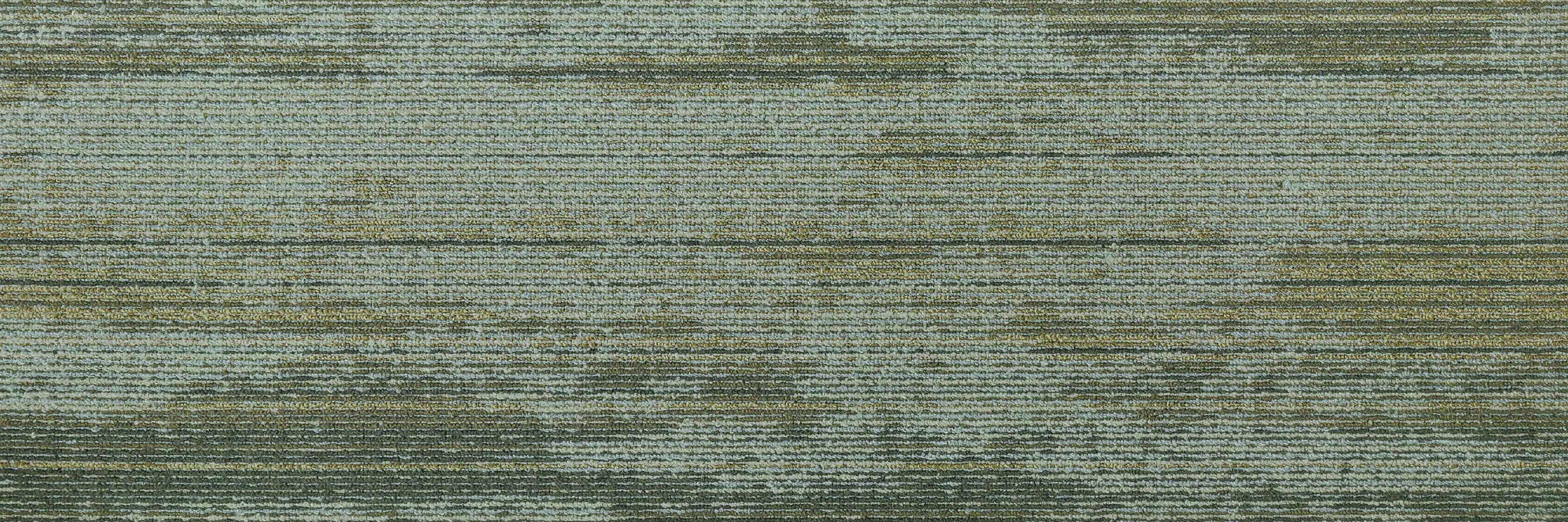 Forest Plank - Shoreline 884-001 Next Floor Carpet Tiles